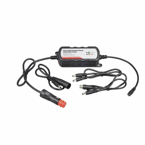 36-Volt-Batterieladegerät für Elektrofahrräder Eza RG-153132
